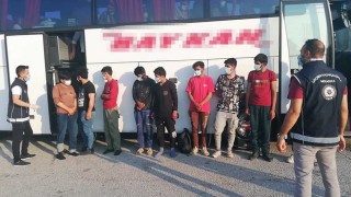 Otobüs bagajında kaçak göçmen yakalandı