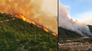 Ormanlarımız yanarken, gökyüzü karalara büründü