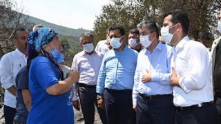 Vali Yılmaz: Yanan her yeri yeniden ağaçlandıracağız