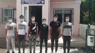 Osmaniye’de, 6 kaçak göçmen yakalandı