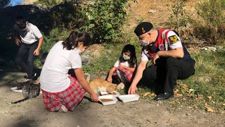 Jandarma, öğrencilerle birlikte sokak hayvanlarını besledi