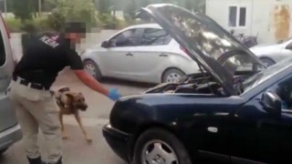 Osmaniye’de uyuşturucu operasyonları: 8 gözaltı
