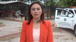 Osmaniye’de, sokak hayvanları için 24 saat klinik hizmeti