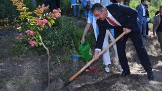 Şehitler hatıra ormanı yeni fidanlarla buluştu