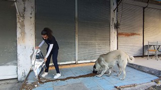 Belediye ekipleri Sokak hayvanlarına besleme dağıtıyor