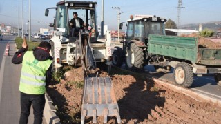 Musa Şahin Bulvarında peyzaj çalışması yapıldı