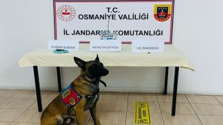 Jandarmadan Uyuşturucu Operasyonu