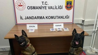 Uyuşturucu Operasyonunda 16 kişi Gözaltına Alındı