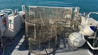 Hatay’da geçen yıl yasa dışı balık avlamada kullanılan 140 kafes ele geçirildi