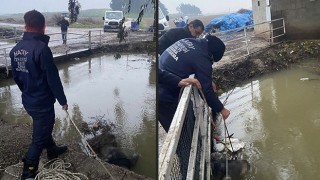 Hatay’da sulama kanalında erkek cesedi bulundu