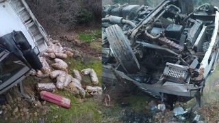 Mersin’de şarampole devrilen kamyonun sürücüsü yaralandı