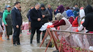 Vali Yılmaz, Turp Tesisini Ziyaret Etti