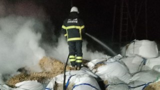 Adana’da tahıl kurutma fabrikasında çıkan yangın söndürüldü
