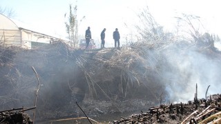 Antalya’da sazlık alanda çıkan yangın seraya sıçradı