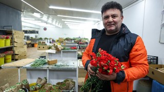 Çiçek üreticileri Hatay’a ücretsiz 100 bin karanfil gönderdi