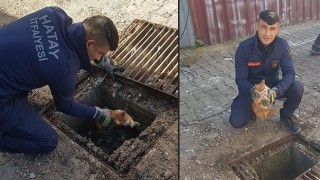 Hatay’da mazgalın altında mahsur kalan kediyi itfaiye kurtardı