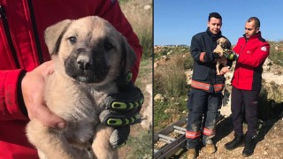 Mersin’de kuyuya düşen köpek yavrusunu itfaiye çıkardı