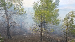Gülnar’da çıkan orman yangını söndürüldü