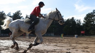 Milyon dolarlık atlar engel atlama yarışlarına ”at oteli”nde hazırlanıyor