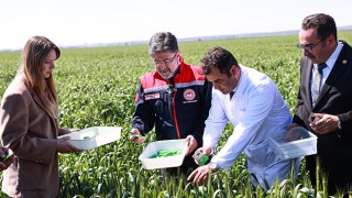 Tarım ve Orman Bakanı Yumaklı, Adana’da süneyle mücadele programına katıldı: