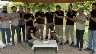 Adana’da narkotik dedektör köpeği ”Hulk”un doğum günü kutlandı