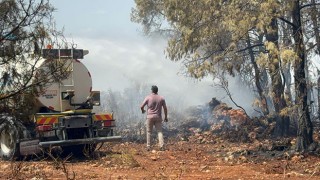 Antalya’da yerleşim yerine yakın ağaçlık alanda çıkan yangın söndürüldü