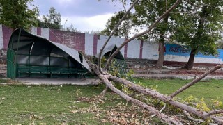 Fırtına Stadyumdaki Ağacı Devirdi