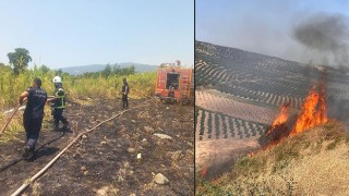 Hatay’da çıkan yangınlar söndürüldü