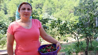 Hatay’da çiftçilik yapan avukat kurduğu kooperatifle depremzede kadınlara destek oluyor