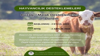 Hayvancılık Desteklemeleri İçin Tarihler Belli Oldu