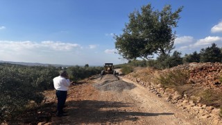 O Beldenin Zeytin Bahçelerine Giden Yolları Asfaltlandı