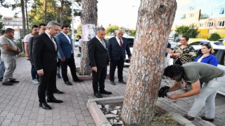 Başkan Çenet'ten İzmarit Uyarısı: "Çevremizi Temiz Tutalım"