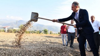 Fıstık Festivali Hazırlıkları Devam Ediyor