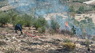 Hatay’da zeytinlik alanda çıkan yangın söndürüldü