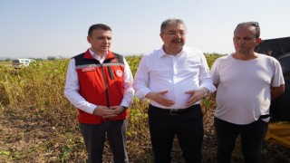 Osmaniye, Soya Üretiminde Türkiye İkincisi Olmayı Hedefliyor