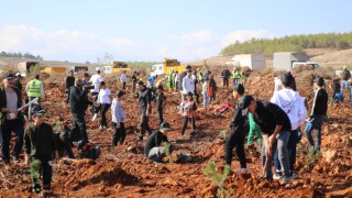 Antalya ve çevre illerde fidanlar toprakla buluştu