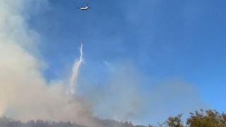 Antalya’da ormanlık alanda çıkan yangına müdahale ediliyor