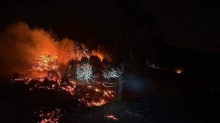 Hatay’da ormanlık alanda çıkan yangın söndürüldü