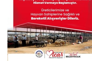 Kadirli'de Mavi Dil Hastalığı Son Buldu, Hayvan Pazarları Yeniden Açıldı