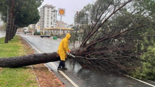 Kahramanmaraş’ta fırtına ve tipi hayatı olumsuz etkiliyor