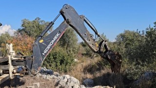 Mersin’de yem tedariki yapılmadığı ileri sürülen çiftlikteki tavuklar telef oldu