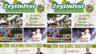 Osmaniye’nin Zeytin Cenneti Ellek, Festivale Hazırlanıyor