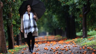 Antalya’daki ”turunç yolu” fotoğrafçıların uğrak adresi oldu