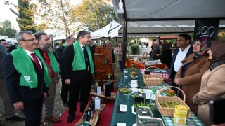 Ellek Tarihinde Bir İlk: Zeytin Festivali Coşkuyla Gerçekleşti