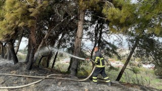 Hatay’da çamlıkta çıkan yangın söndürüldü