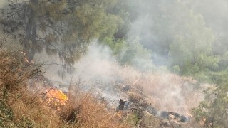 Hatay’da ormanlık alanda çıkan yangın söndürüldü