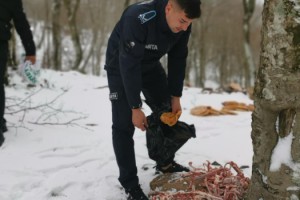 Düziçi’nde Yaban Hayvanları İçin Yemleme Etkinliği