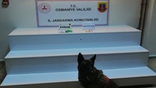 Osmaniye Jandarması Asayişi Sağlamaya Devam Ediyor