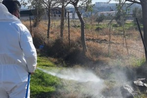 Yazın İlçenin Kabusu Olan Sivrisinekle Mücadele Başladı