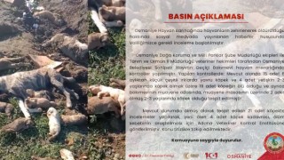 Barınaktaki Şüpheli Ölümler Üzerine Valilik İnceleme Başlattı